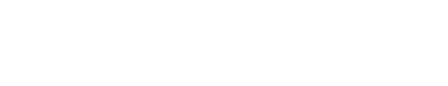 InvoiceG2G